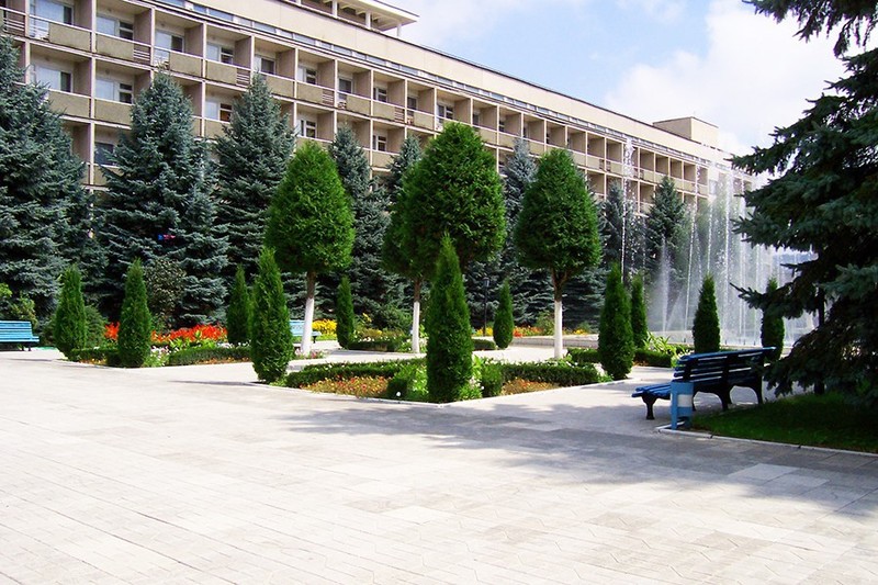 Голубые Ели