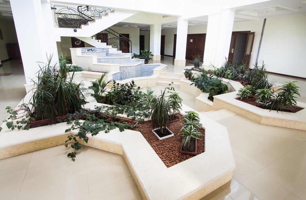 room image