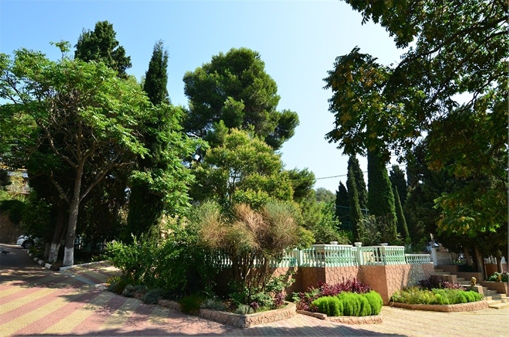room image