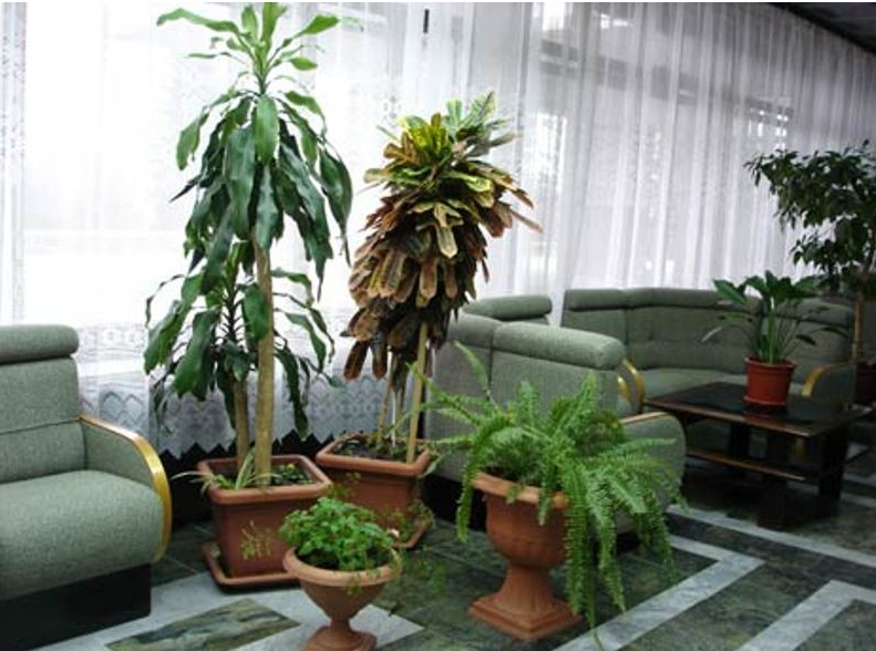 room image