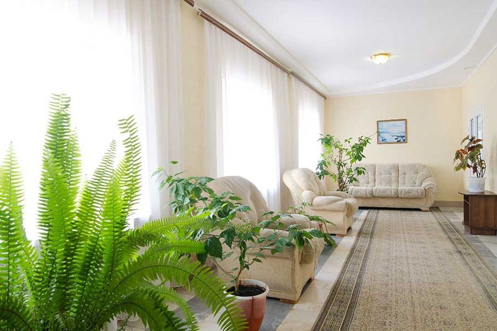 room image
