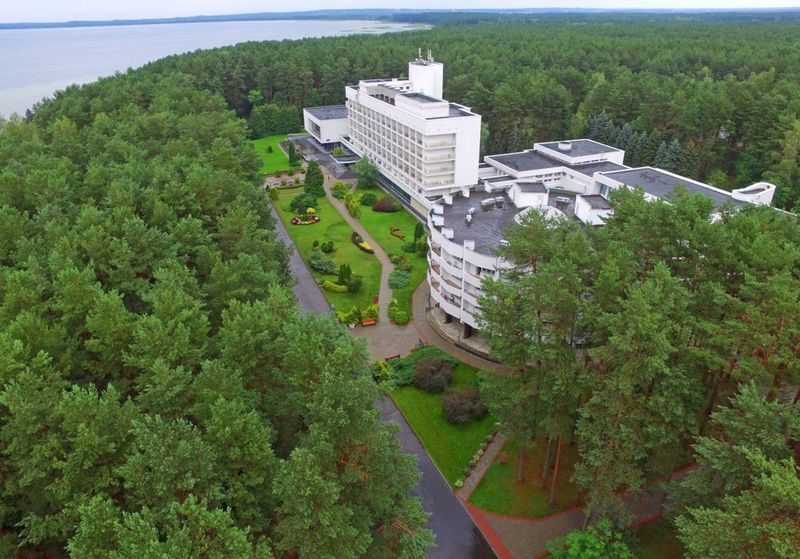 Сосны УДП РБ