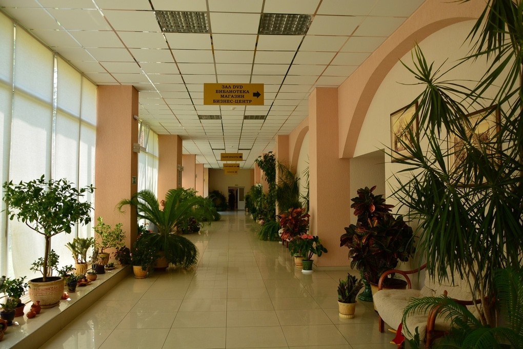 room image