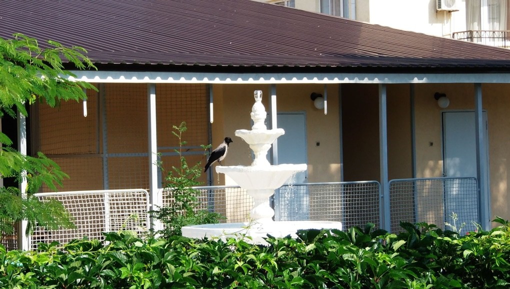 room image