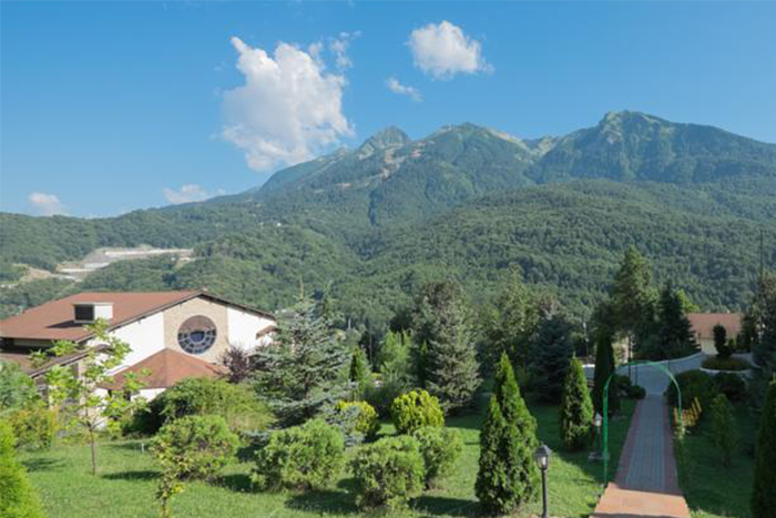 room image